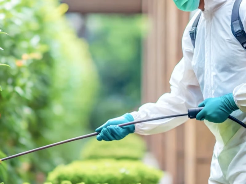 日本ネクストクリーンの画像